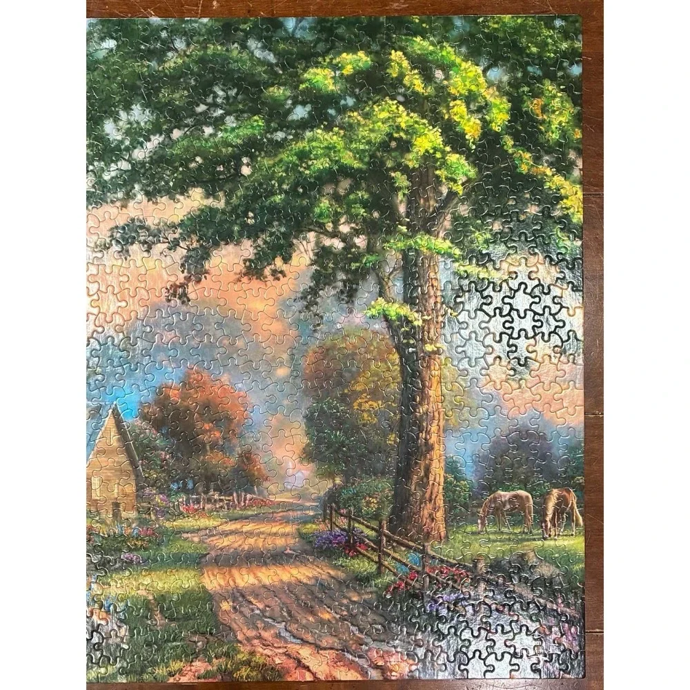 Thomas Kinkade Painter Of Life 